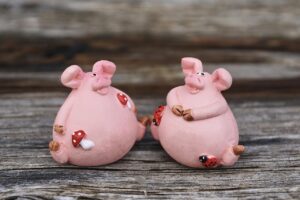 フジカラーの年賀状を作成するためのおすすめアプリは？