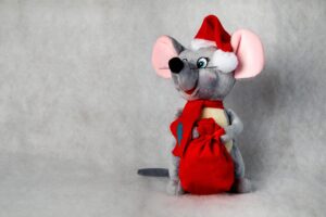 年賀状にスマホ写真を使う場合、何枚まで載せるのがベスト？