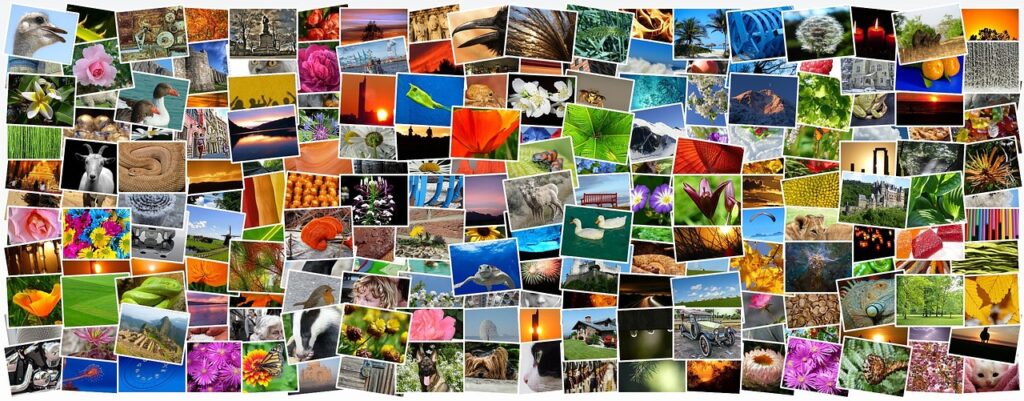 年賀状のコラージュ写真をスマホアプリで簡単に作る方法は？