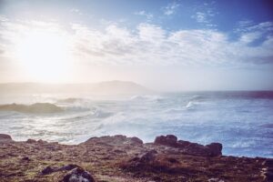 年賀状の写真枚数が多いデザインをスマホで作る方法は？