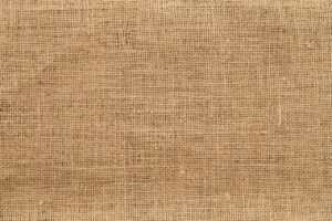 年賀状の背景に使える無料素材をスマホで探す方法は？