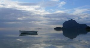 年賀状作成に最適なスマホアプリおすすめ2025は？