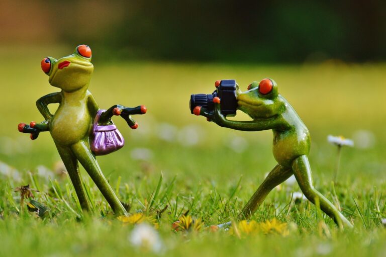 年賀状に最適な写真テンプレートはどれ？比較して選ぶポイントは？